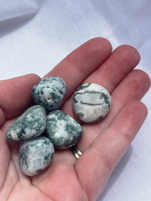 Tree Agate Tumble - large