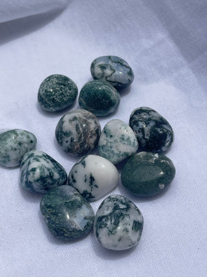 Tree Agate Tumble - large